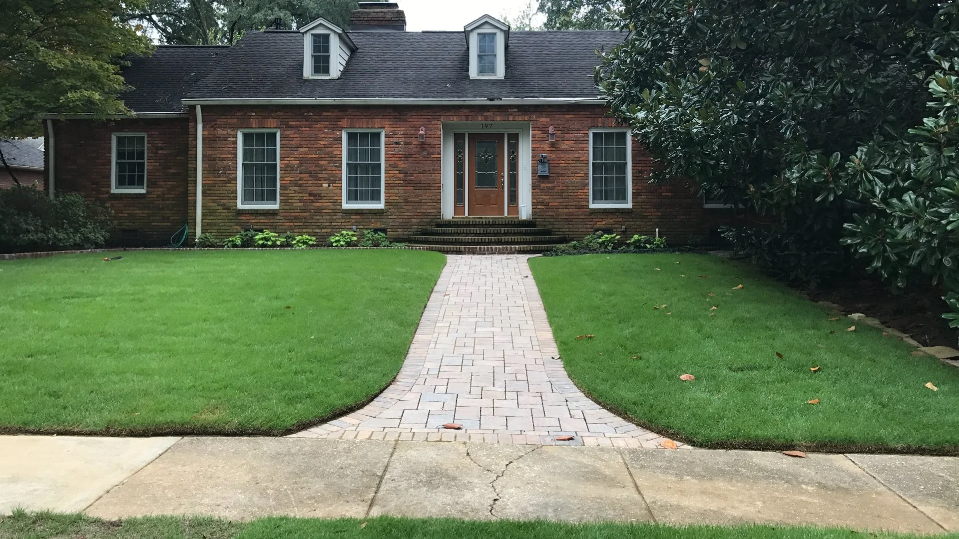 Eliminate Weeds on Your Lawn Before Overseeding It!