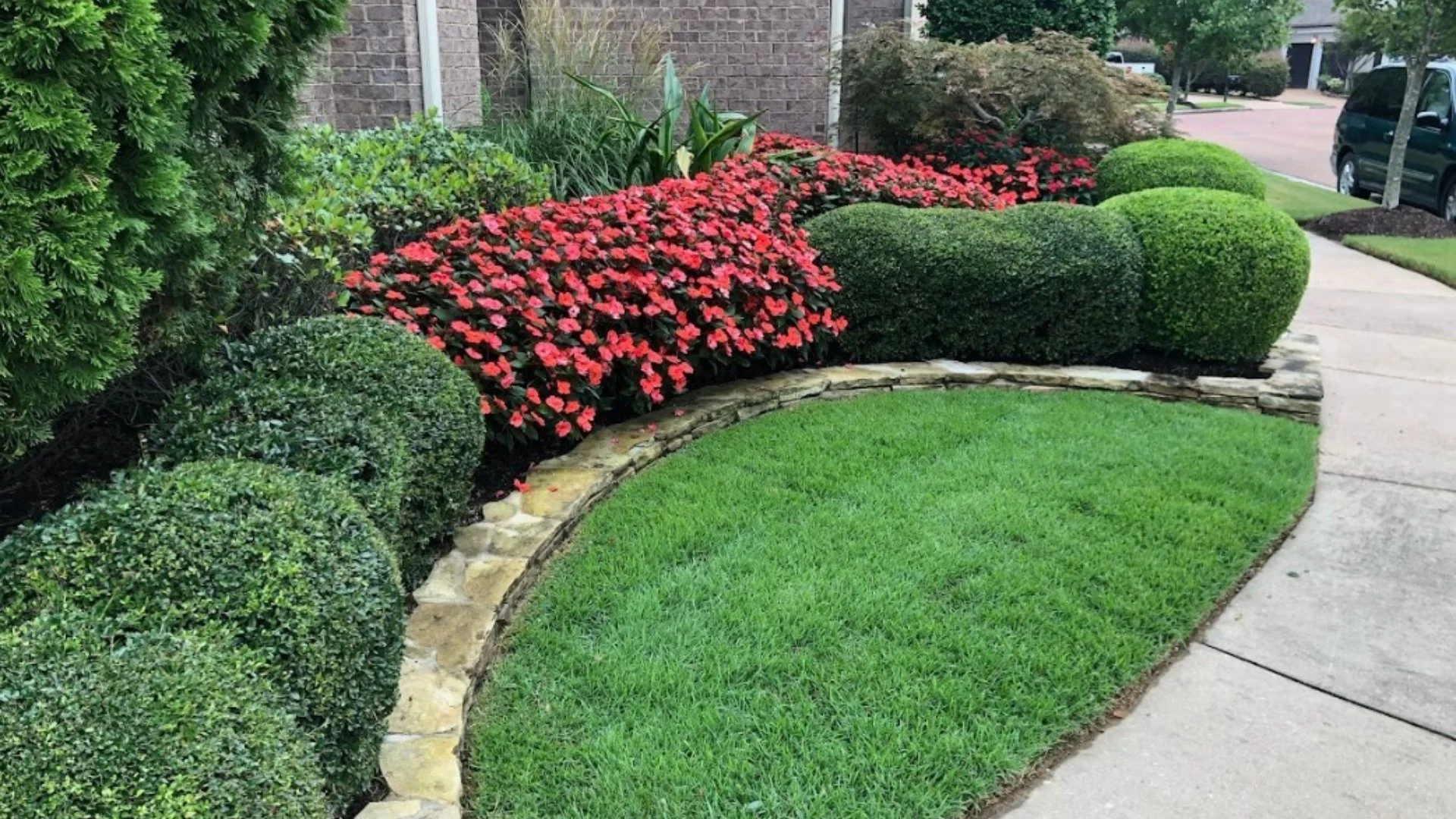 Not Trimming Your Plants Can Lead to Multiple Issues