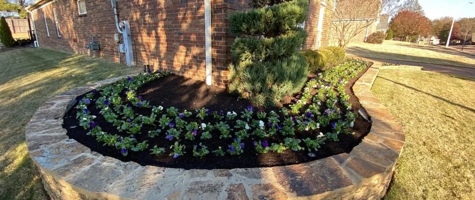Landscape bed with small plants and black mulch on a property in Memphis, TN.