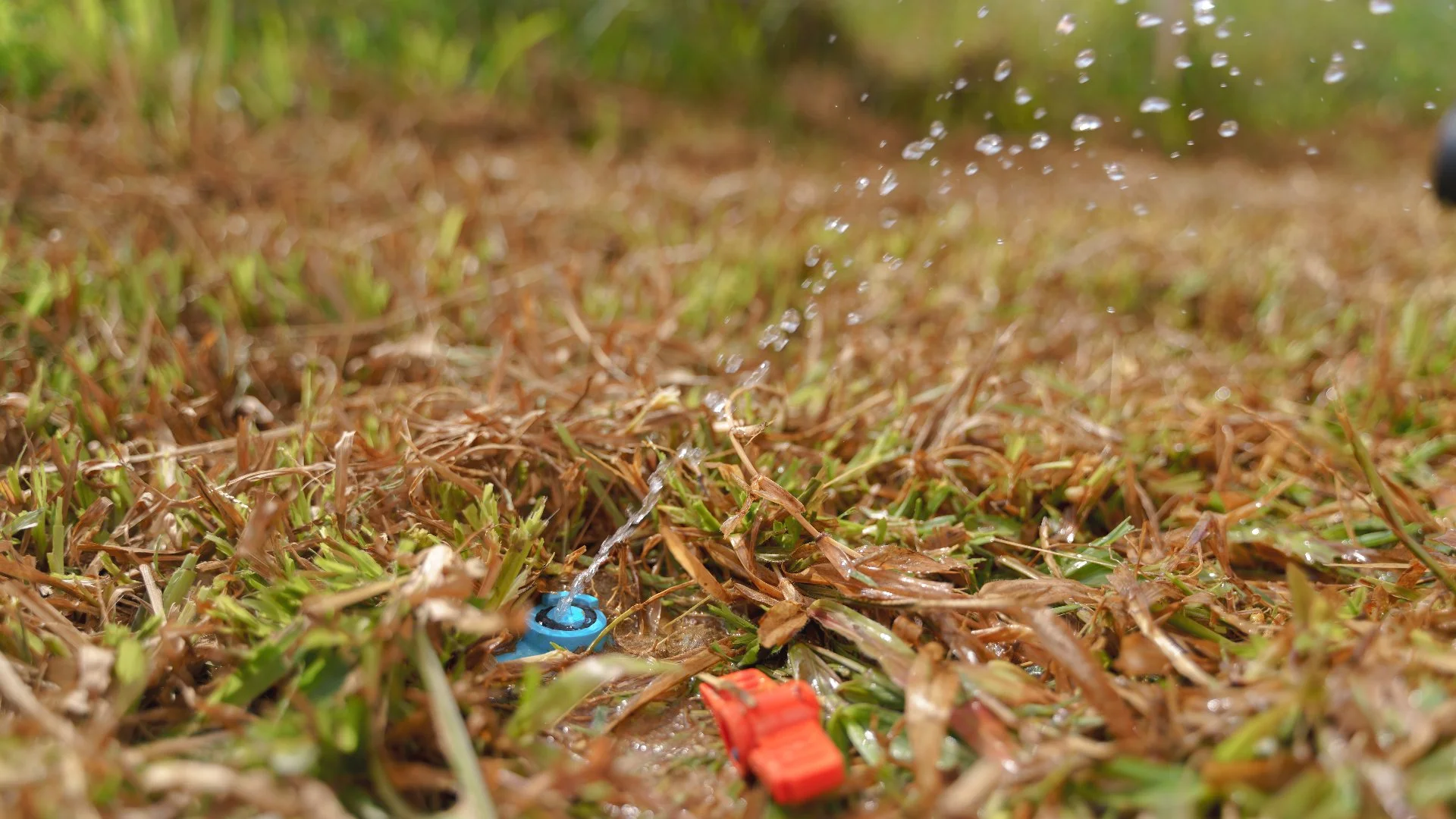 These Things Could Indicate There Is a Leak in Your Irrigation System