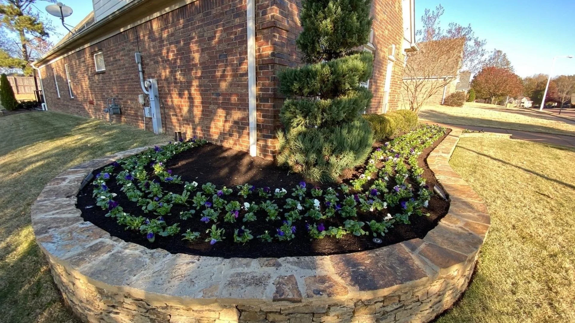 Pine Straw vs Wood Mulch - Which Is Better for Your Landscape?