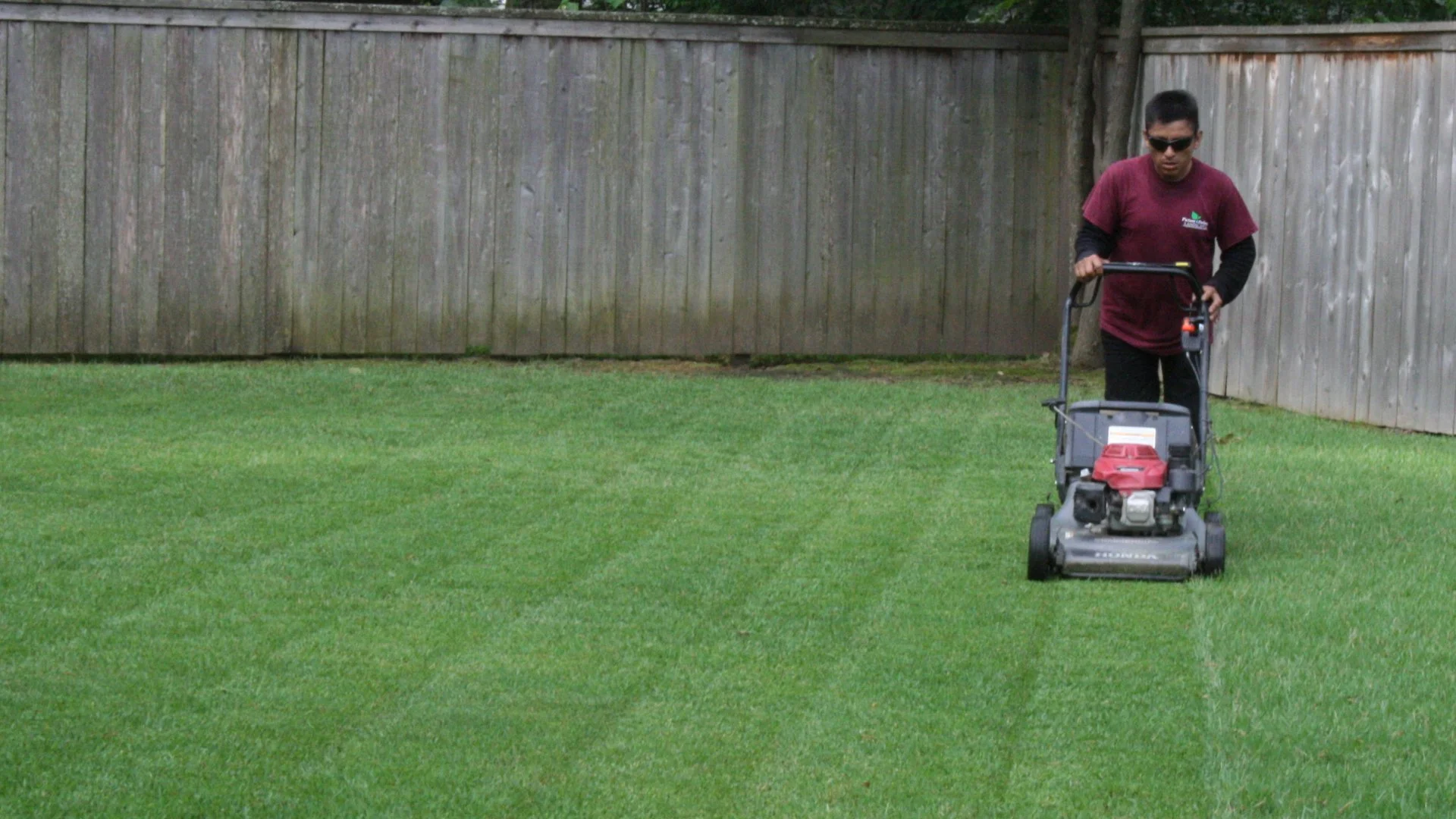 These Mistakes Are Common With DIY Lawn Mowing! Are You Making Them Too?