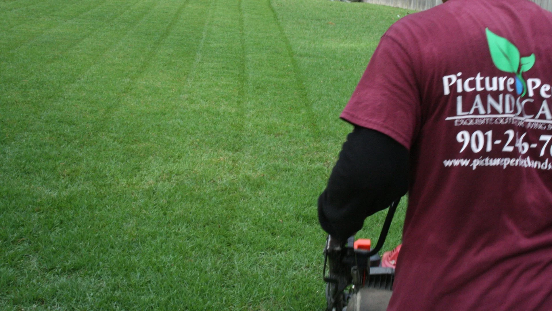 Bagging Your Grass Clippings vs Leaving Them - Which Is Better After Mowing?