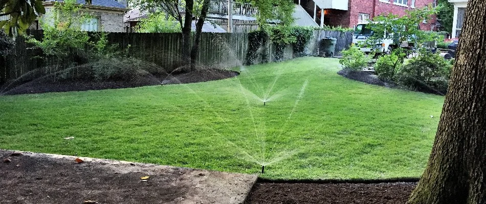 Backyard in Memphis, TN, getting watered.