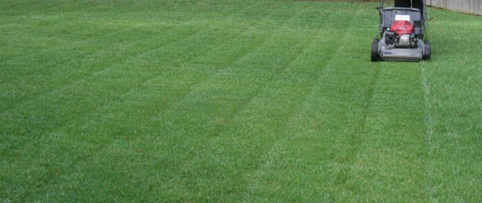 Professional lawn mowing at a home in Memphis, TN.