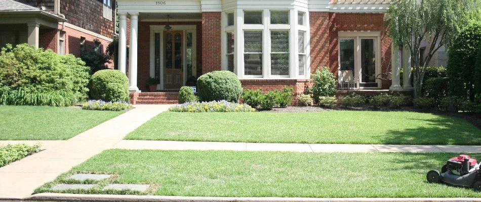 A healthy lawn in Memphis, TN, that's been recently mowed.