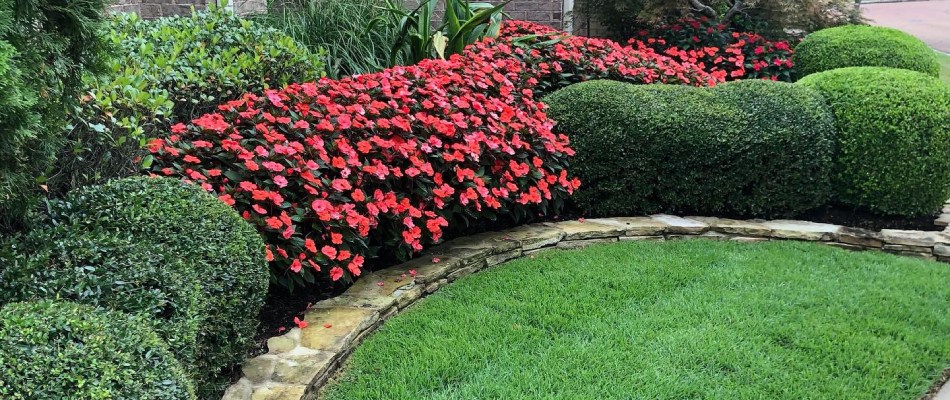 Easy Updates to Your Landscape Beds That Will Improve Your Curb Appeal ...